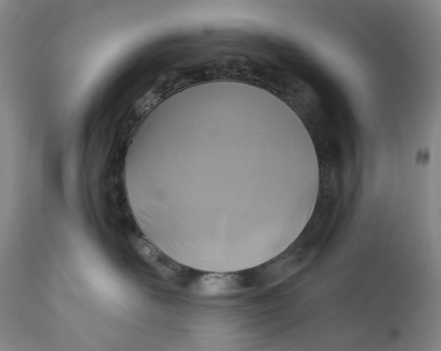 X0000110920526200907091500