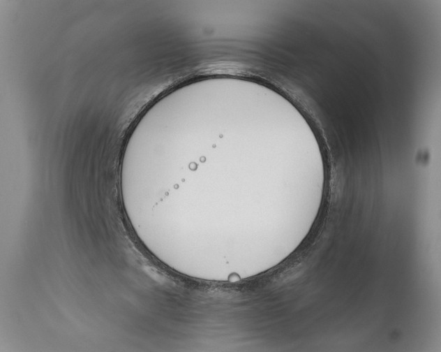 X0000110920529200907091459