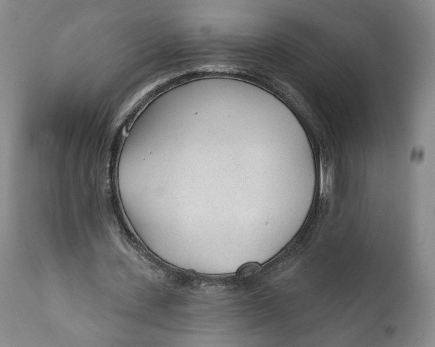 X0000110920531200907091459