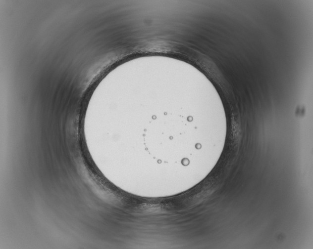 X0000110920534200907091500