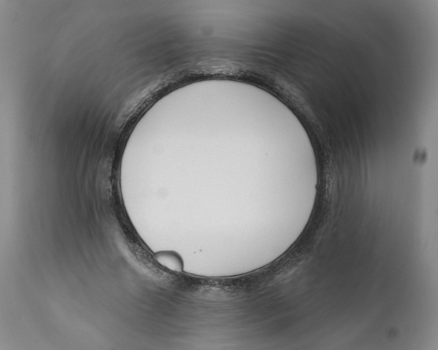 X0000110920538200907091500