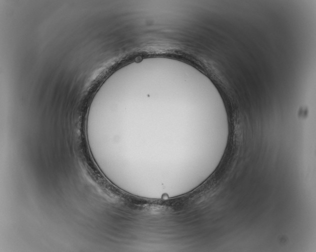 X0000110920539200907091500