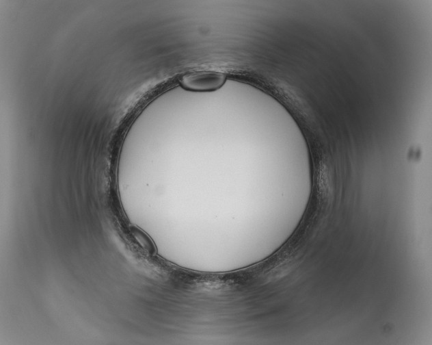 X0000110920540200907091500