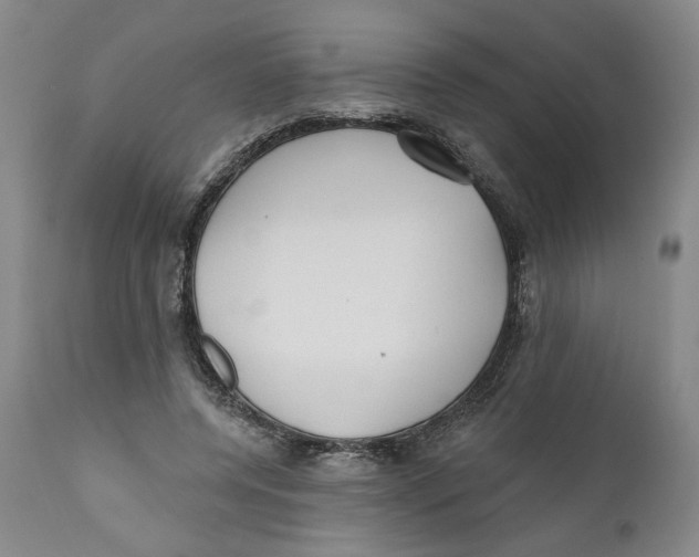 X0000110920544200907091500