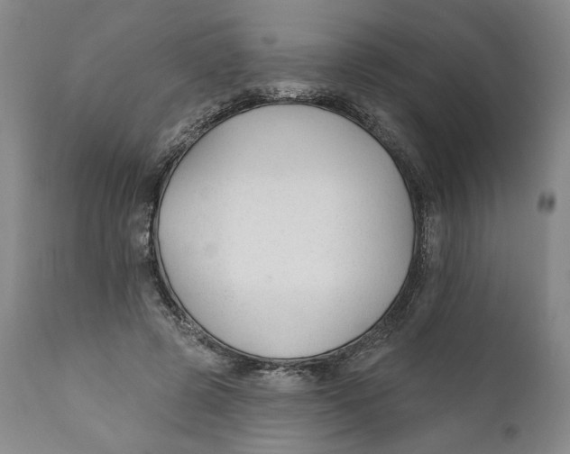 X0000110920545200907091500