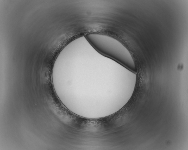 X0000110920546200907091500