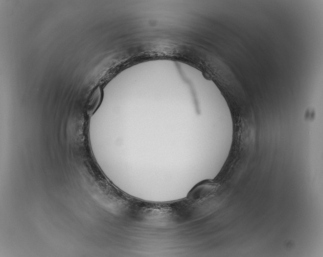 X0000110920548200907091500