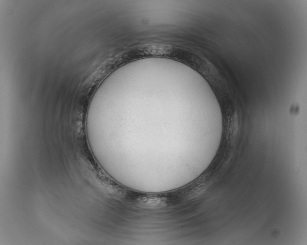 X0000110920553200907091500