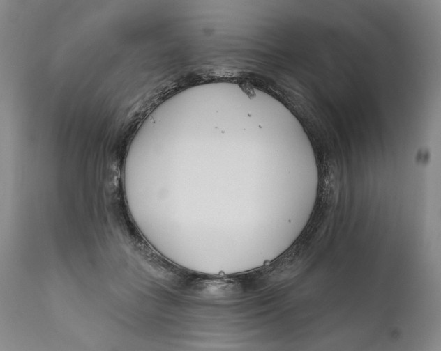 X0000110920555200907091500