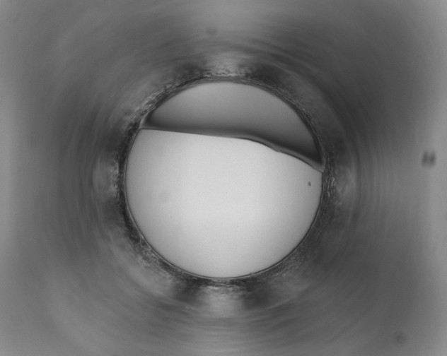 X0000110920556200907091500