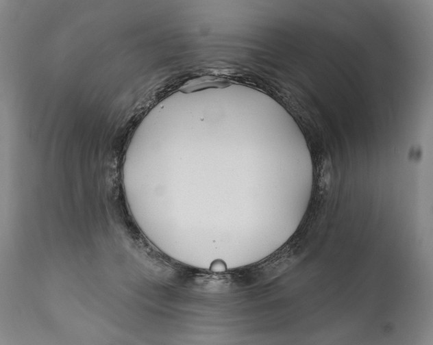 X0000110920559200907091500
