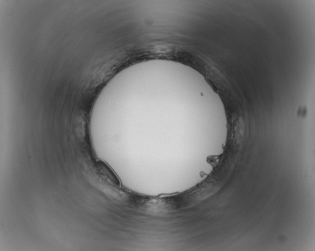 X0000110920562200907091500