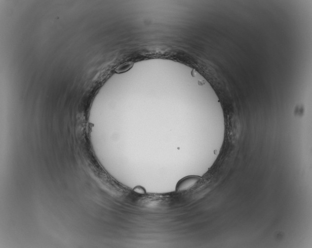 X0000110920563200907091500