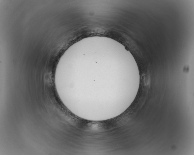 X0000110920564200907091500