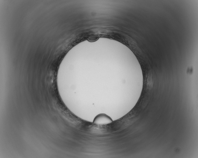 X0000110920567200907091500