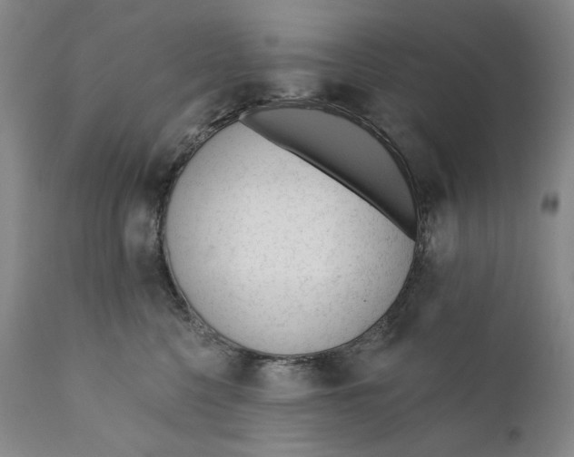 X0000110920568200907091500
