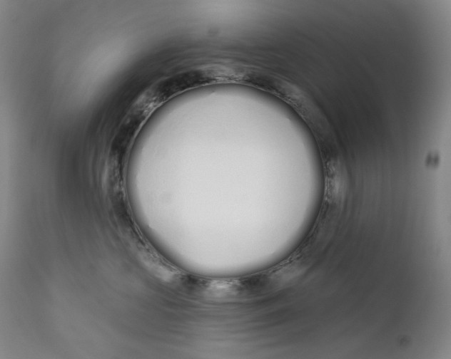 X0000110920573200907091500
