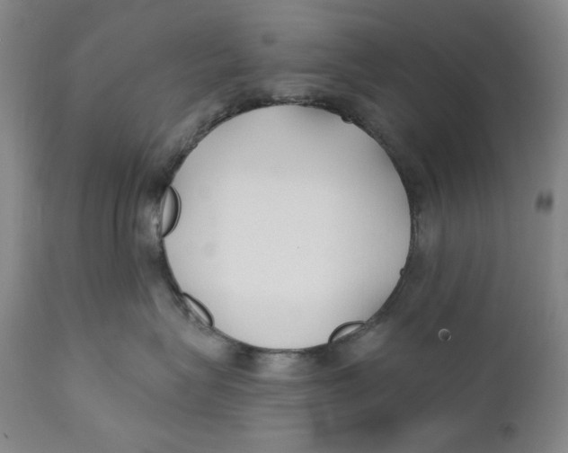 X0000110920575200907091500