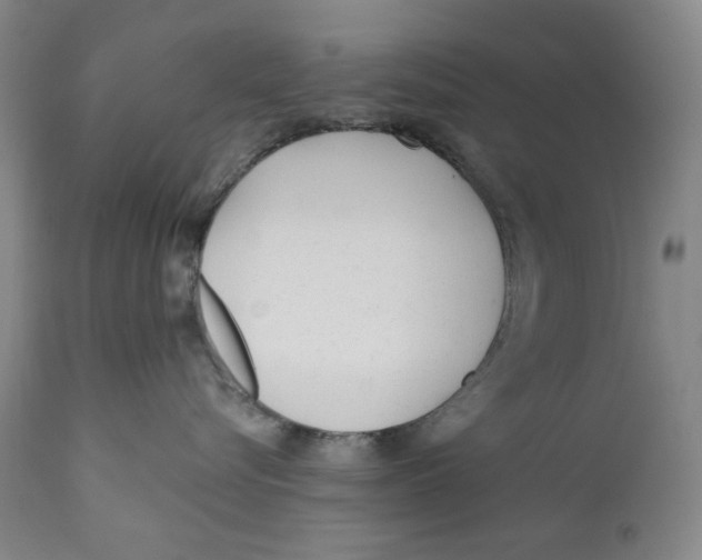 X0000110920576200907091500