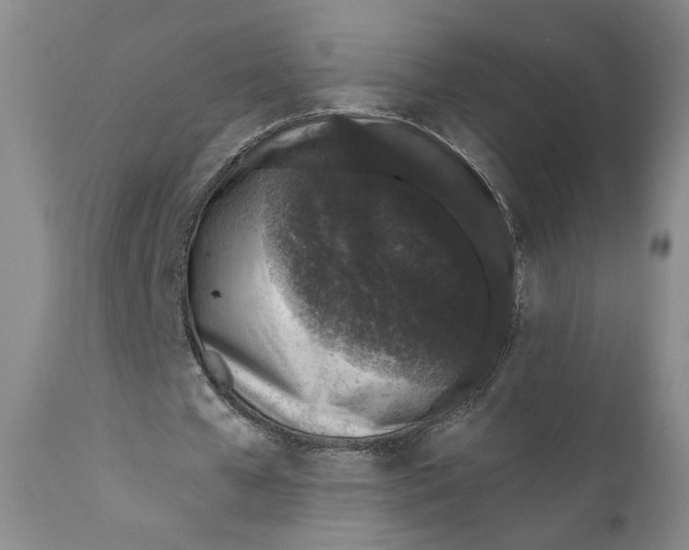 X0000110920577200907091459