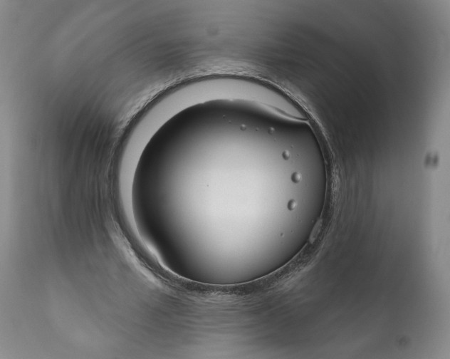 X0000110920581200907091459