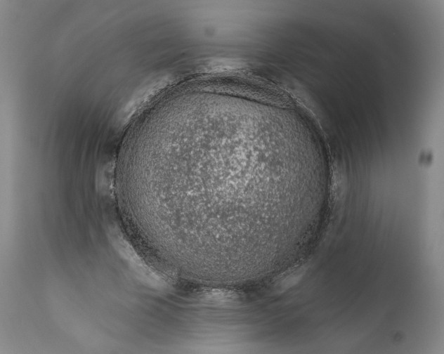 X0000110920585200907091459