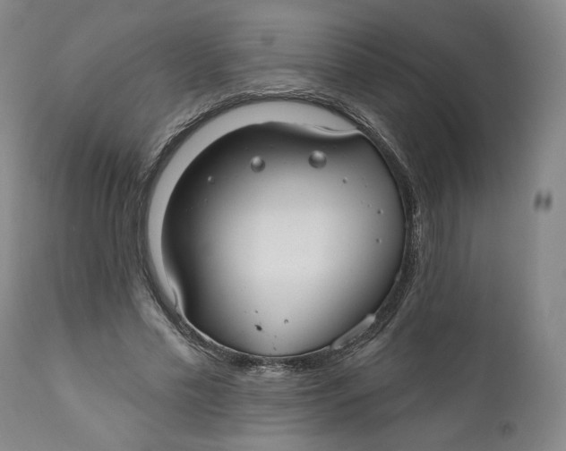 X0000110920589200907091459