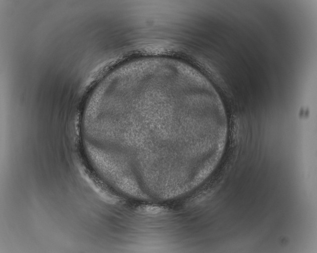 X0000110920590200907091459