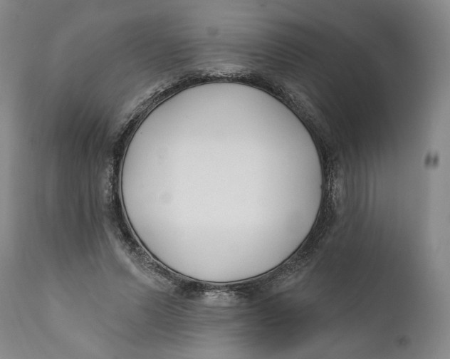 X0000110920591200907091459
