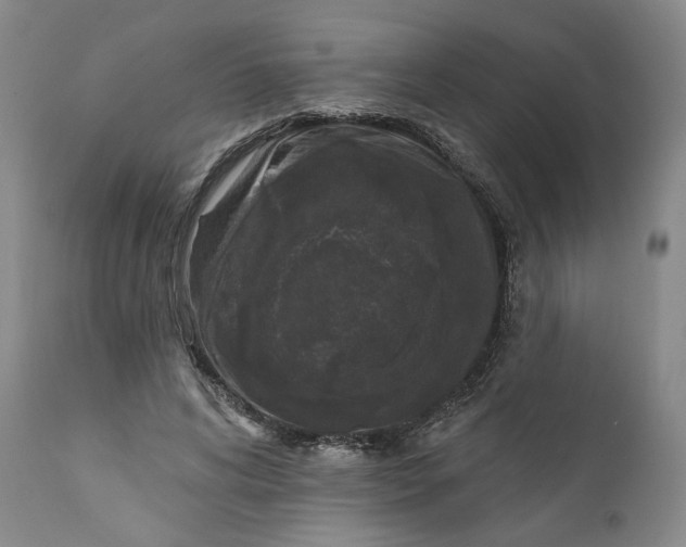 X0000110920592200907091459
