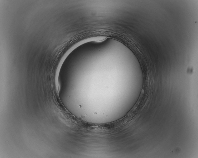X0000110920601200907091459