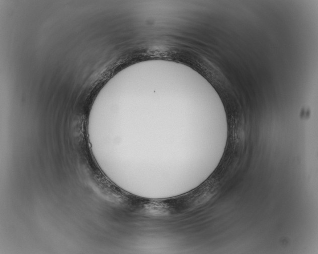 X0000110920603200907091459