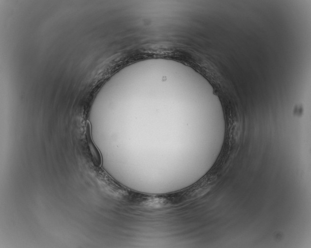 X0000110920609200907091459