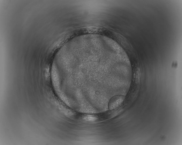 X0000110920610200907091459