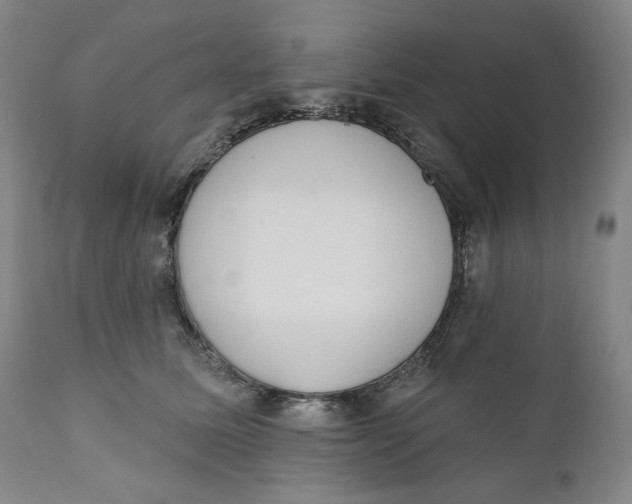 X0000110920611200907091459