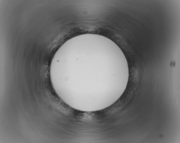 X0000110920612200907091459