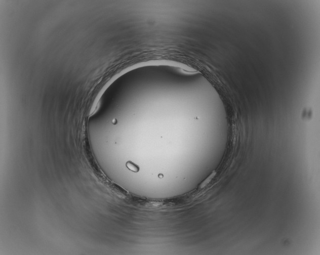 X0000110920613200907091459