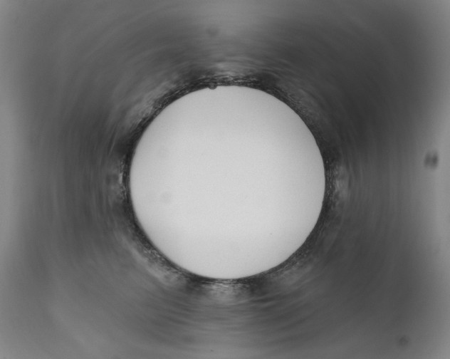 X0000110920615200907091459