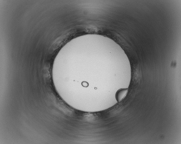 X0000110920616200907091459