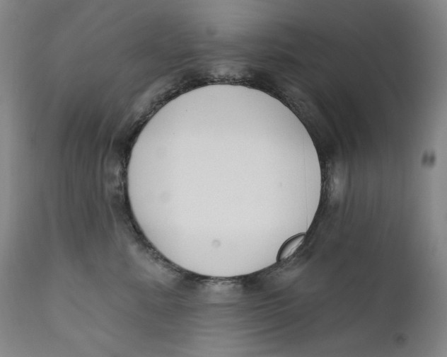 X0000110920619200907091459