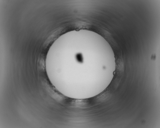 X0000110920622200907091459