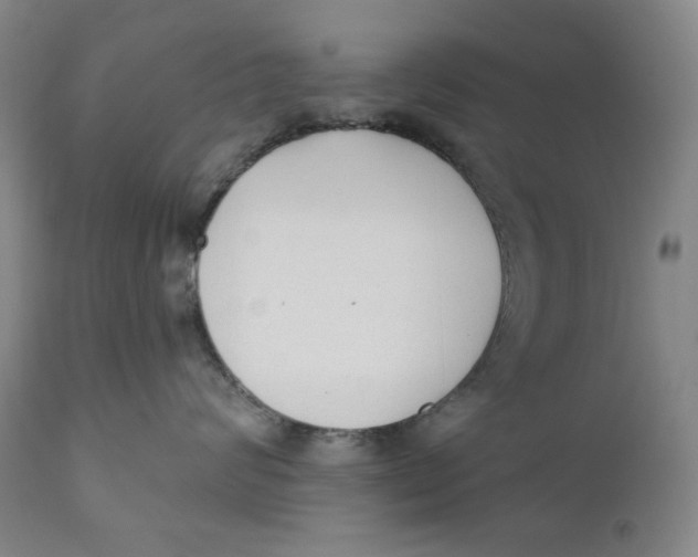 X0000110920624200907091459