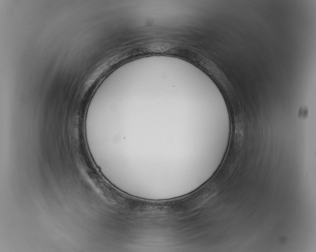 X0000110920626200907091458