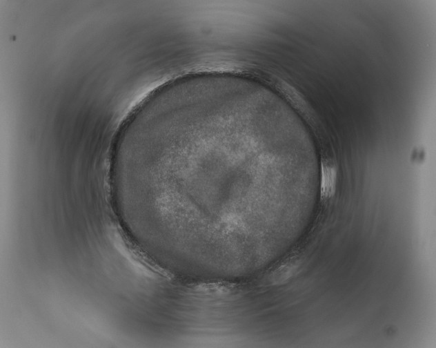X0000110920627200907091458