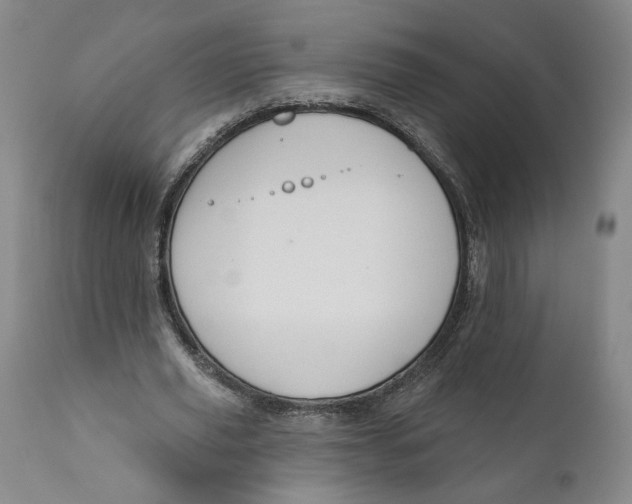 X0000110920629200907091458