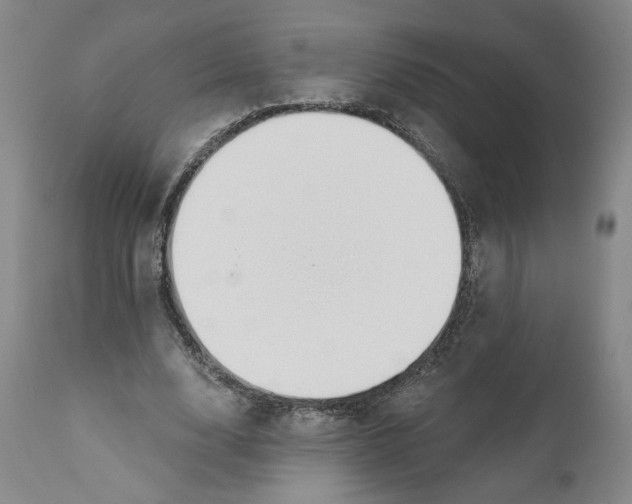 X0000110920632200907091458
