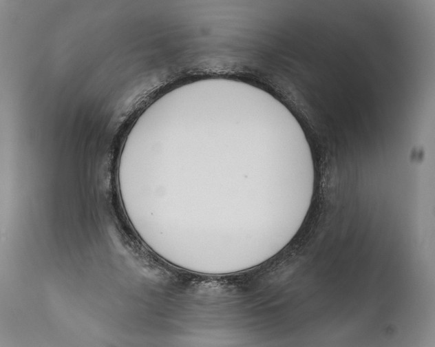X0000110920635200907091458