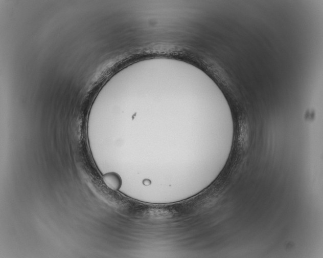 X0000110920636200907091458