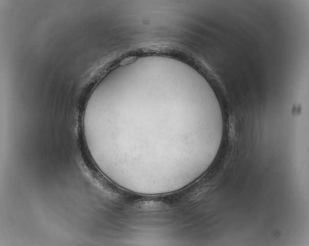 X0000110920637200907091458