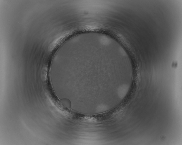 X0000110920640200907091458